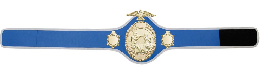 BOXING CHAMPIONSHIP BELT-PRO288/G/BOXG-10 COLOURS BOXING CHAMPIONSHIP BELT-PRO288/G/BOXG-10 COLOURS
